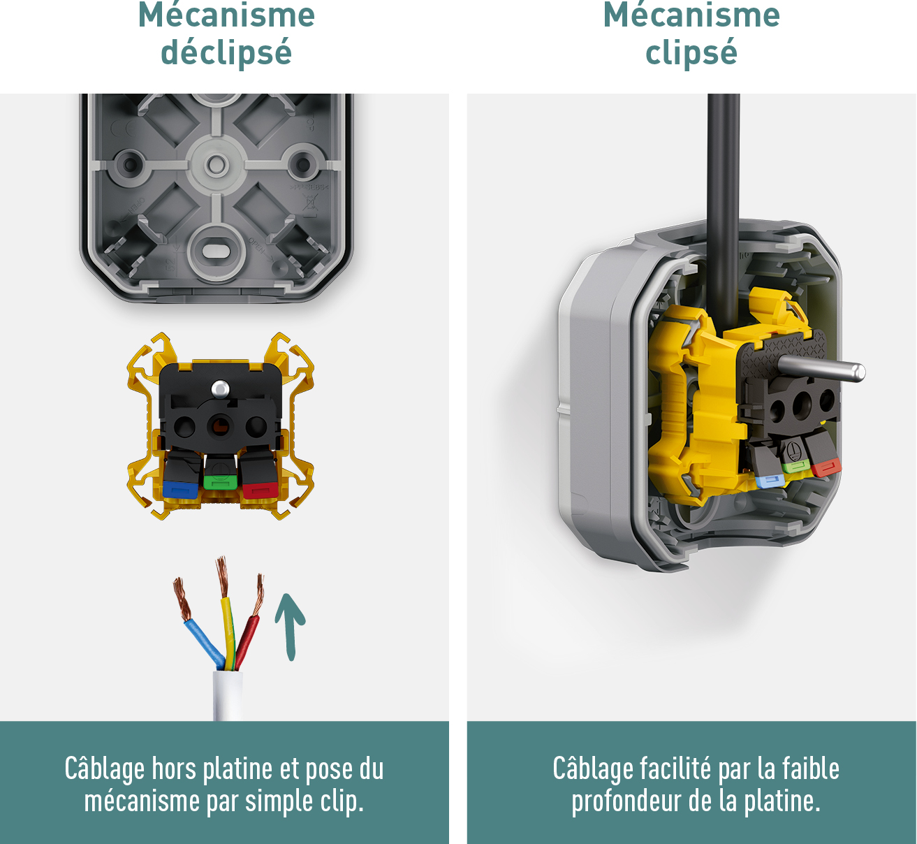 plexo-clipser-mechanisme